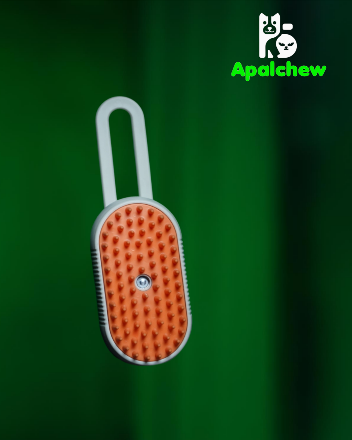 Electric steam brush