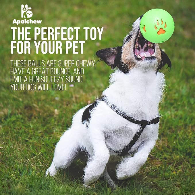 Squeaky Chew Ball