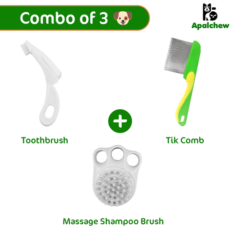Massage Shampoo Brush, Toothbrush and Tik Comb - Combo B