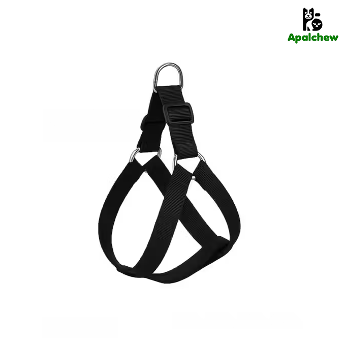 Harness