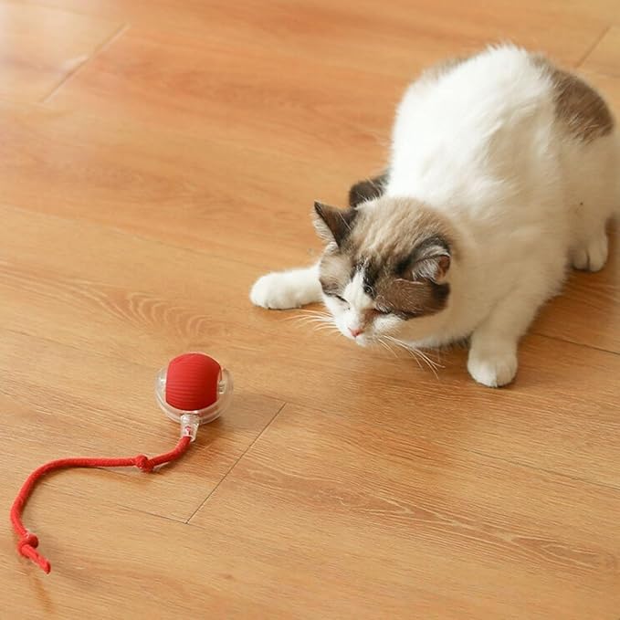Rechargeable electric toy