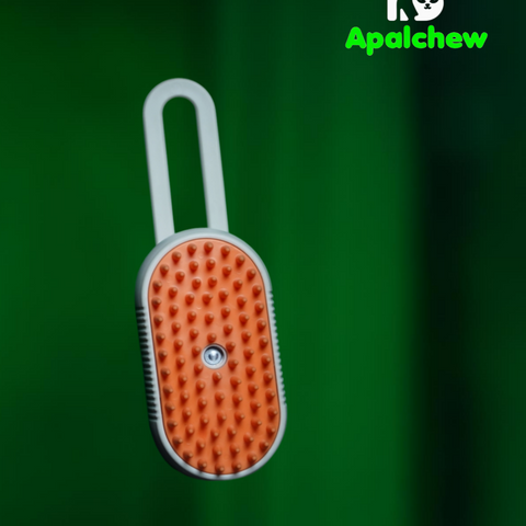 Electric steam brush