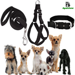Harness