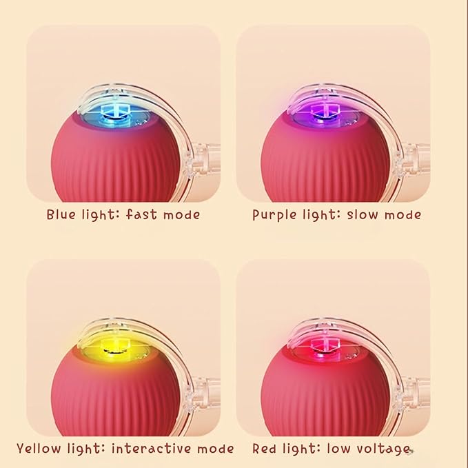Rechargeable electric toy