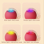 Rechargeable electric toy