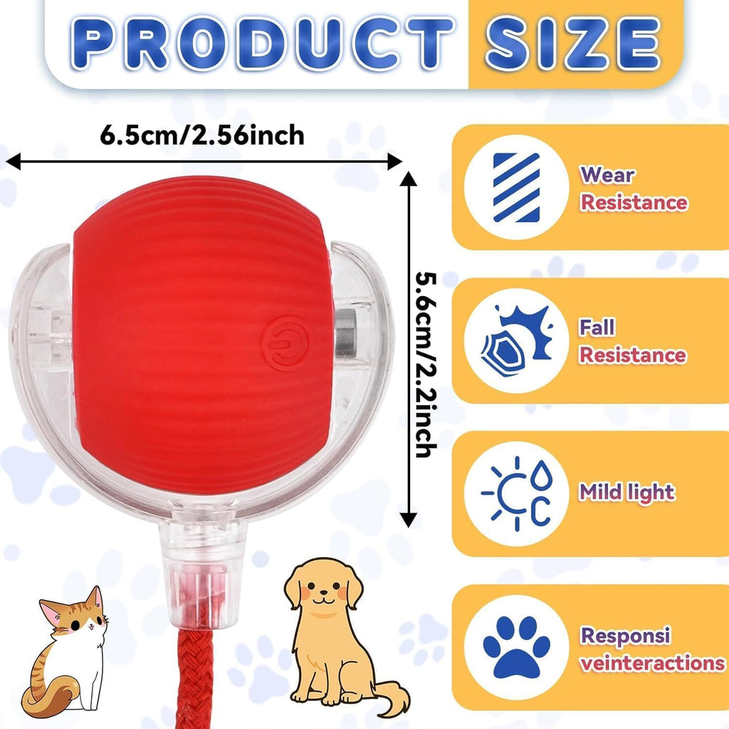 Rechargeable electric toy