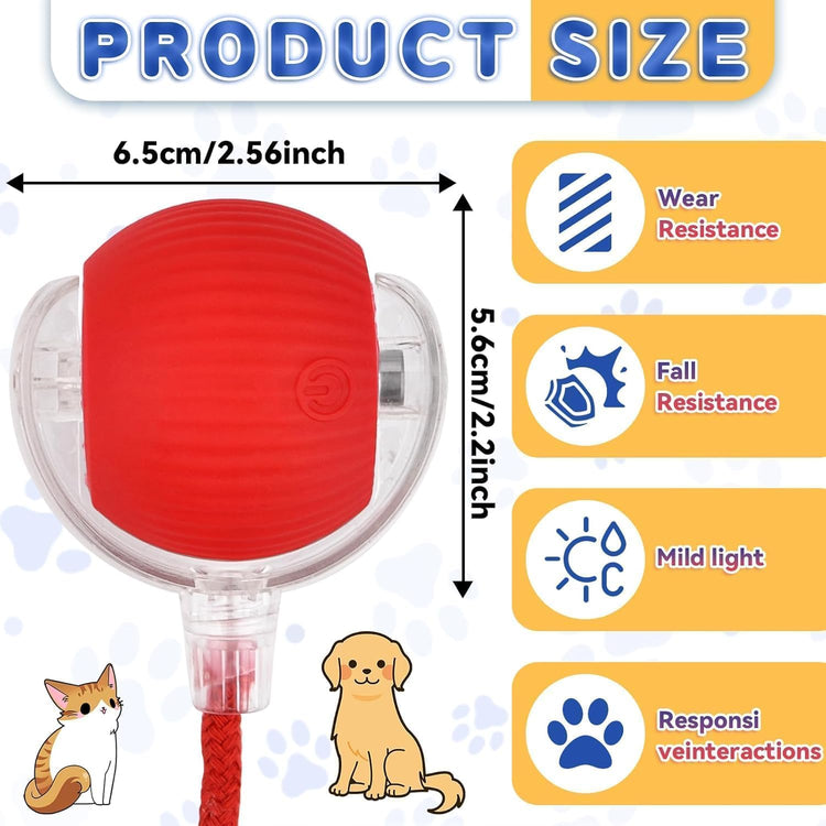 Rechargeable electric toy