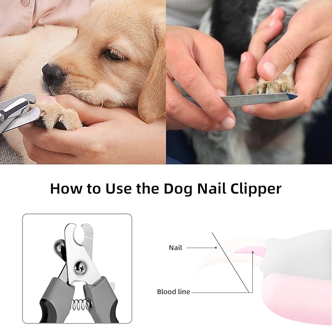 Apalchew Grooming Kit