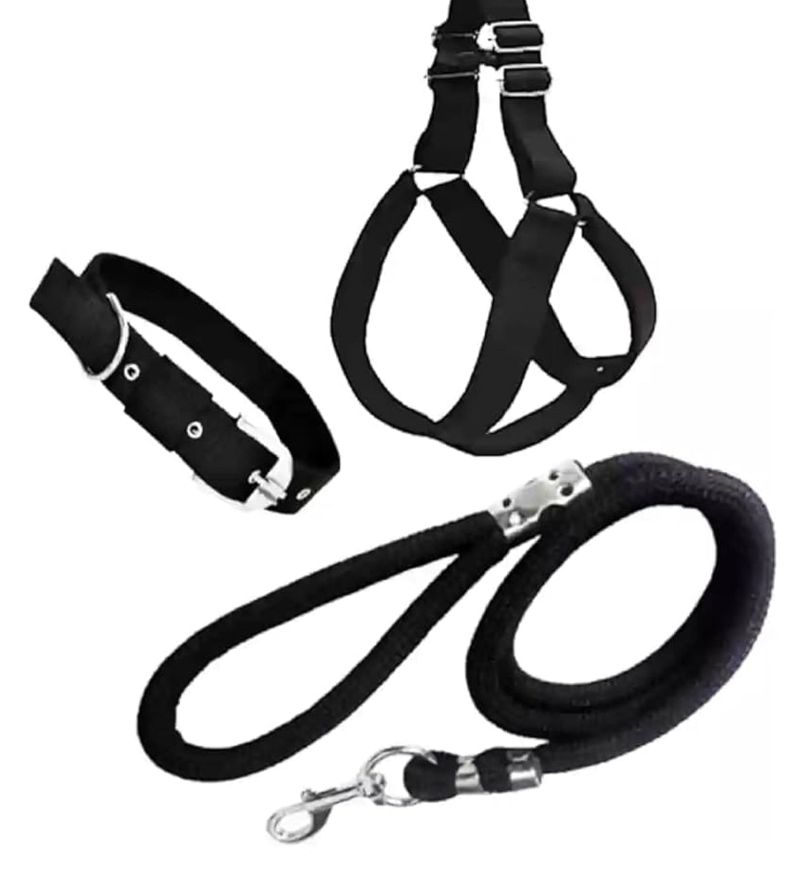 Harness