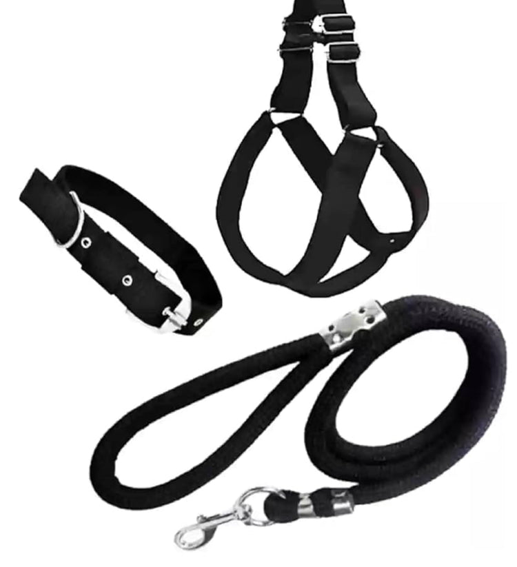 Harness