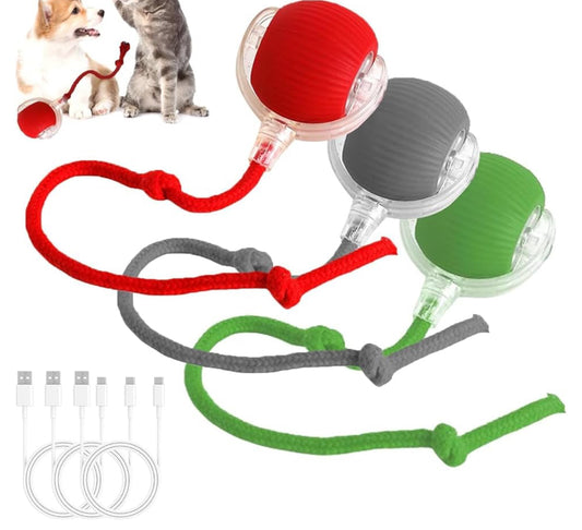 Rechargeable electric toy ball and tick comb
