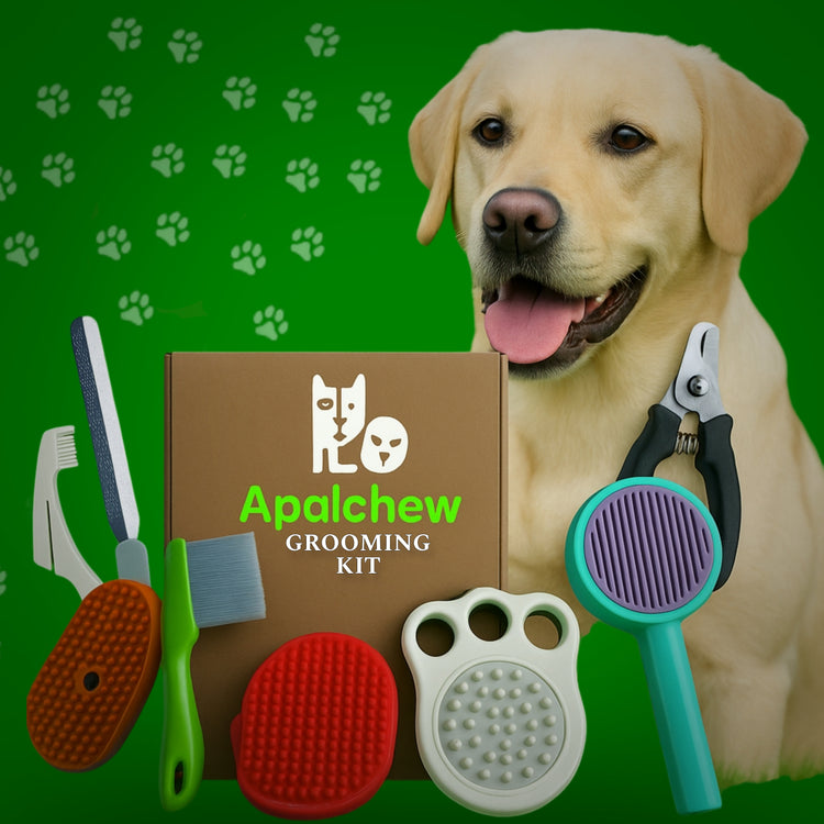 Apalchew Grooming Kit
