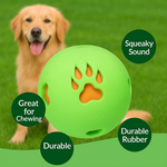 Squeaky Chew Ball
