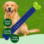 Apalchew Chewbie Kit