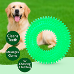 Apalchew Chewbie Kit