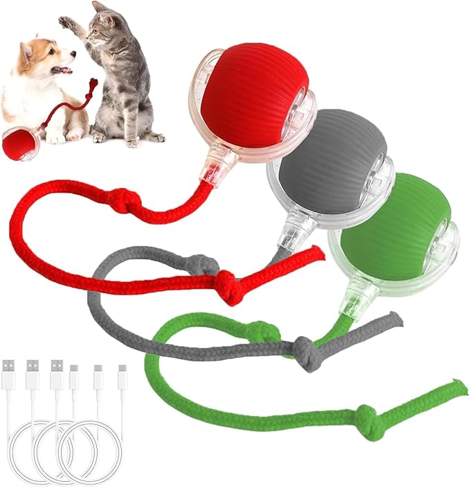 Rechargeable electric toy