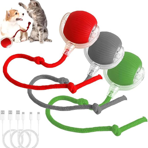 Rechargeable electric toy ball and tick comb