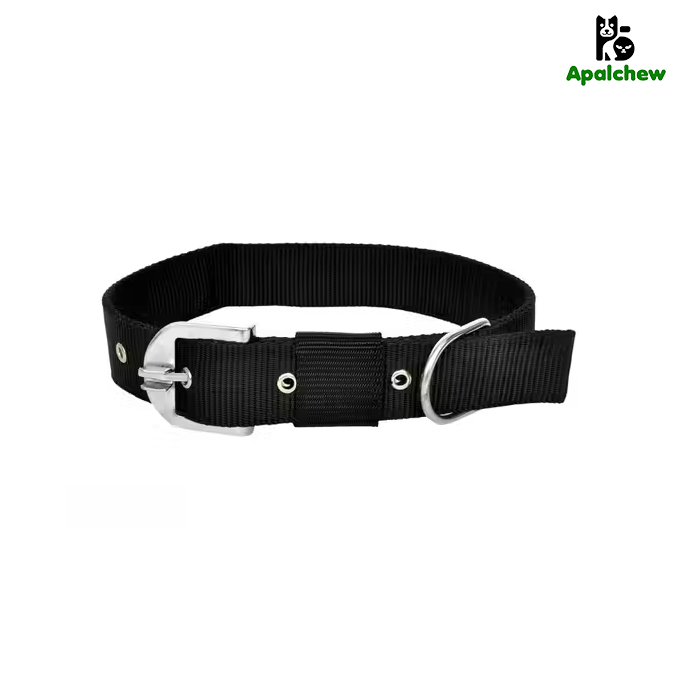 Harness
