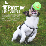 Squeaky Chew Ball